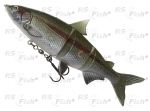 Ripper DAM Effzett Natural Whitefish - kolor Rainbow Trout