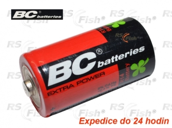 Bateria R20