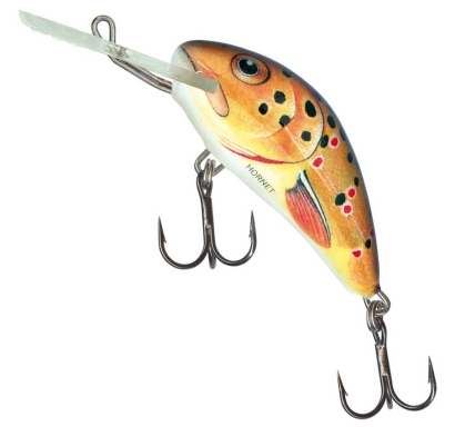 Wobler Salmo Hornet - kolor Trout